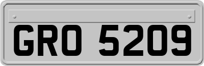 GRO5209