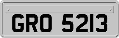 GRO5213