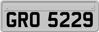 GRO5229