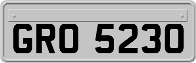 GRO5230