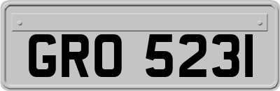 GRO5231