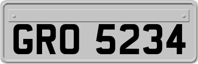GRO5234