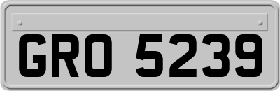 GRO5239