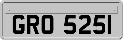 GRO5251