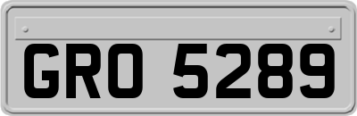 GRO5289