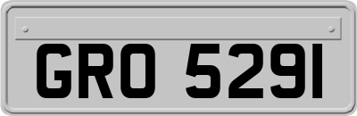 GRO5291