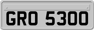GRO5300