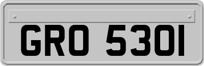 GRO5301
