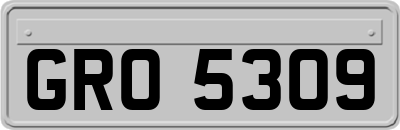 GRO5309