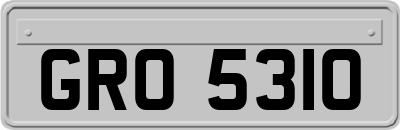GRO5310