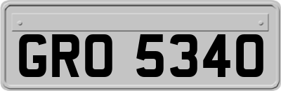 GRO5340