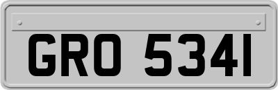 GRO5341