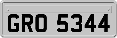 GRO5344
