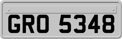 GRO5348