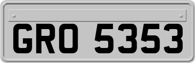 GRO5353