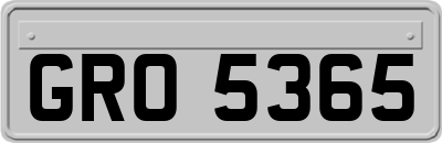 GRO5365