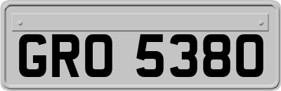 GRO5380