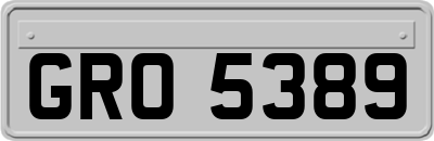 GRO5389