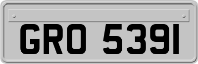 GRO5391