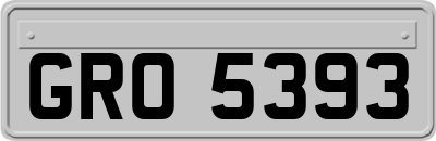 GRO5393