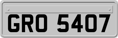 GRO5407