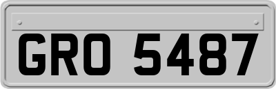 GRO5487