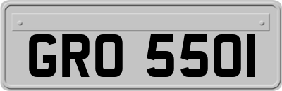 GRO5501