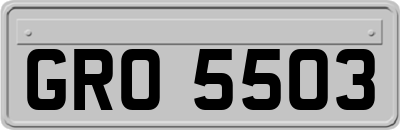 GRO5503