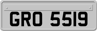 GRO5519