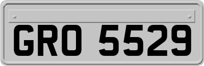 GRO5529