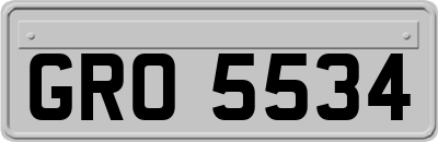 GRO5534