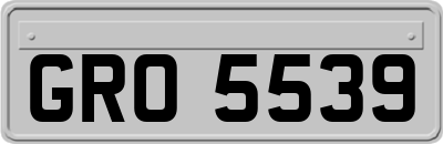 GRO5539