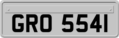 GRO5541