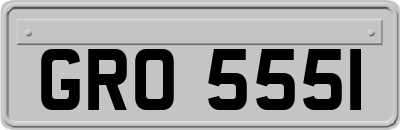 GRO5551