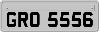 GRO5556
