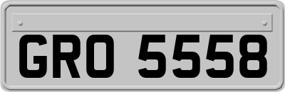 GRO5558