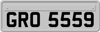GRO5559