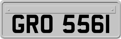 GRO5561