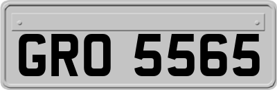 GRO5565