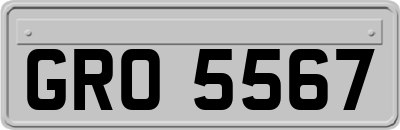 GRO5567