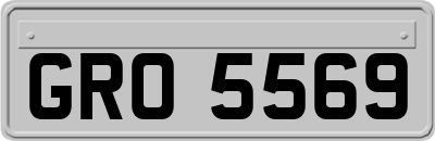 GRO5569