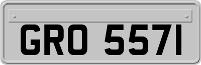 GRO5571