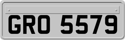 GRO5579