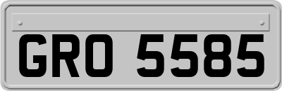 GRO5585
