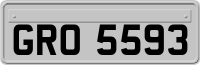 GRO5593