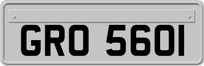 GRO5601