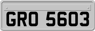 GRO5603