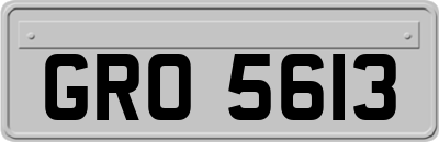 GRO5613
