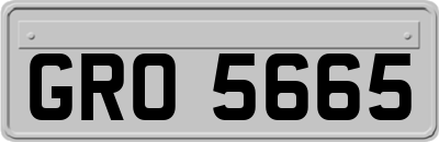 GRO5665