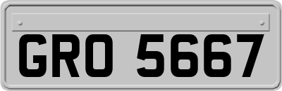 GRO5667